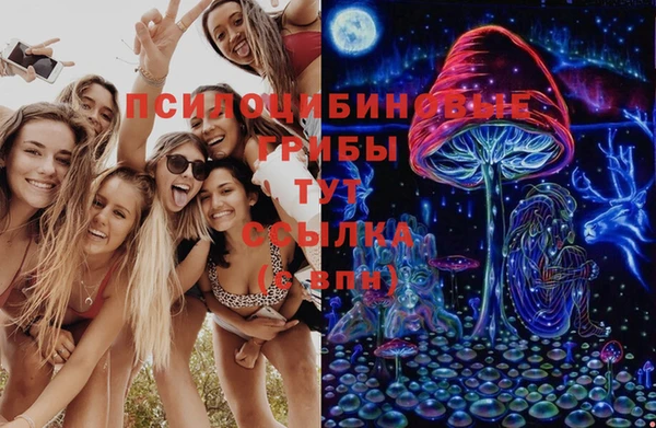 первитин Покачи
