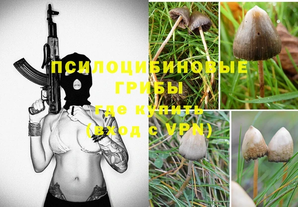 первитин Покачи