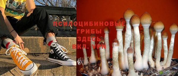 первитин Покачи